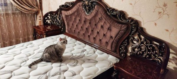 Комплект спальни Джоконда, корень дуба глянец, Эра (кровать 1,8, тумба 2 шт., туалетный стол с зеркалом, пуф, шкаф 5 дверей) в Москве купить в интернет магазине - 5 Китов